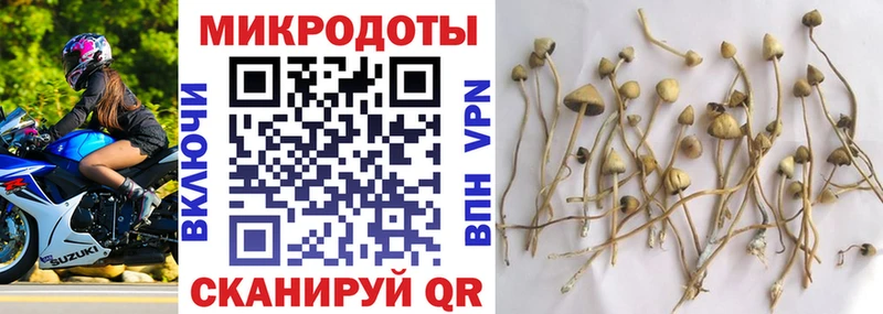 Псилоцибиновые грибы MAGIC MUSHROOMS  Шацк 